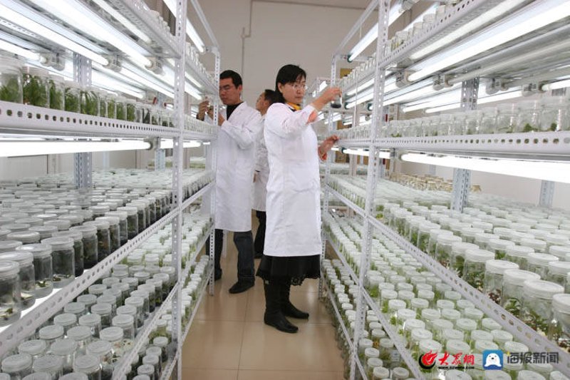 教程指南类:如何高效使用厦门出入境检验检疫技术中心官网